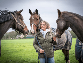 Een paard oordeelt niet