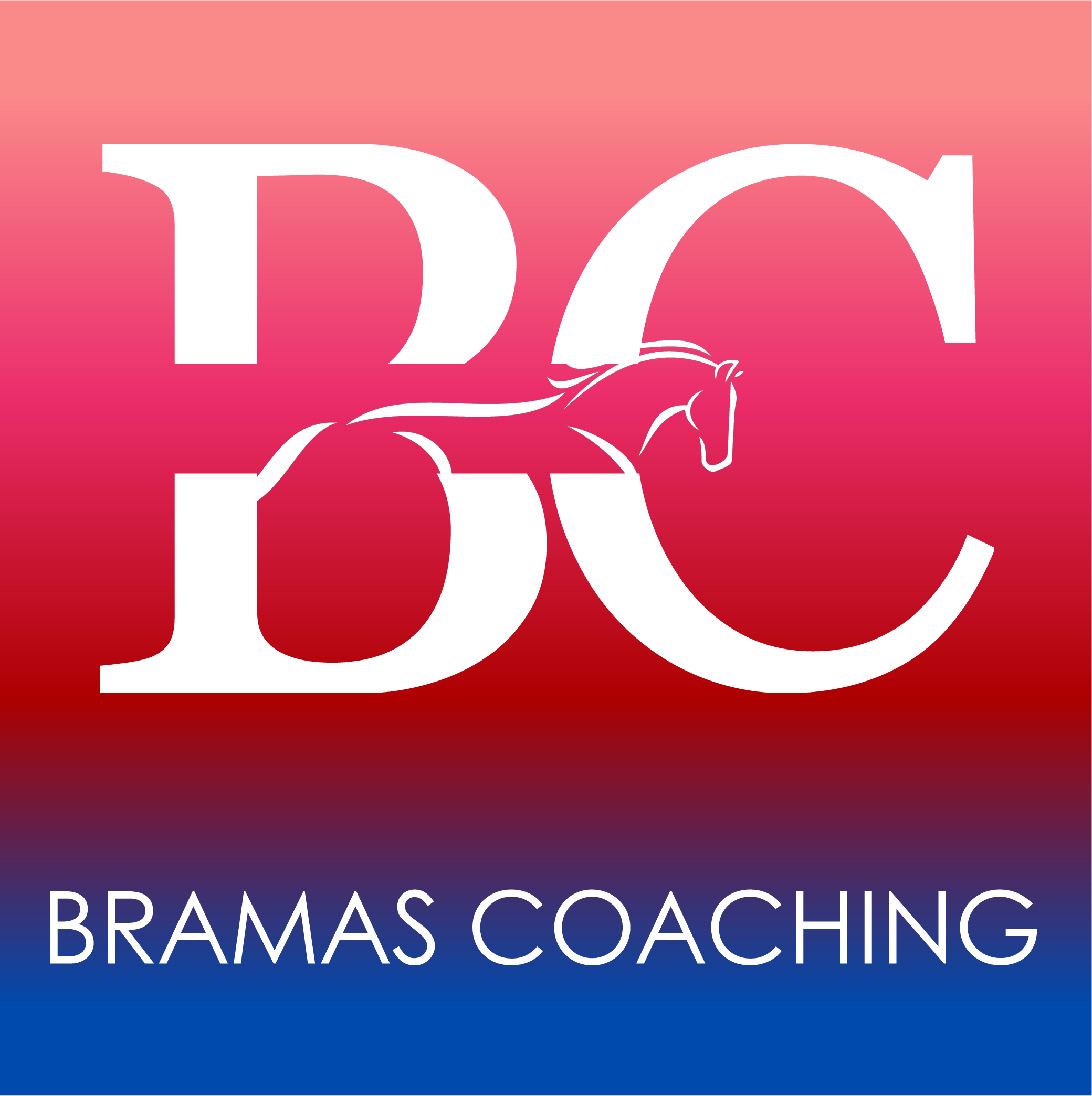 Bramas Coaching: PaardENcoaching